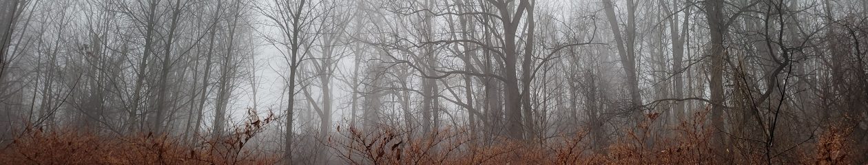 Quadrivalent Records